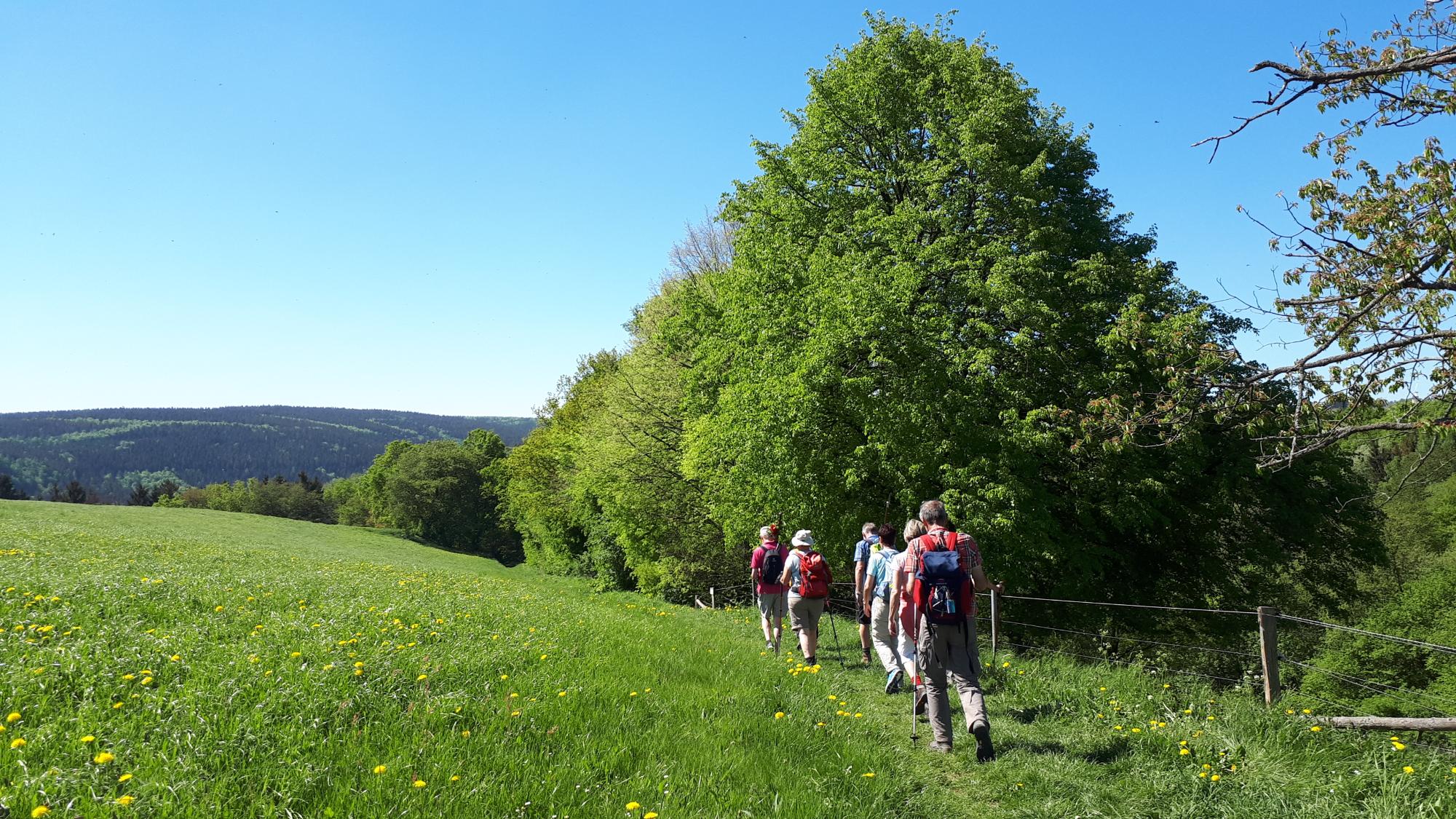 Pilgern nach Trier