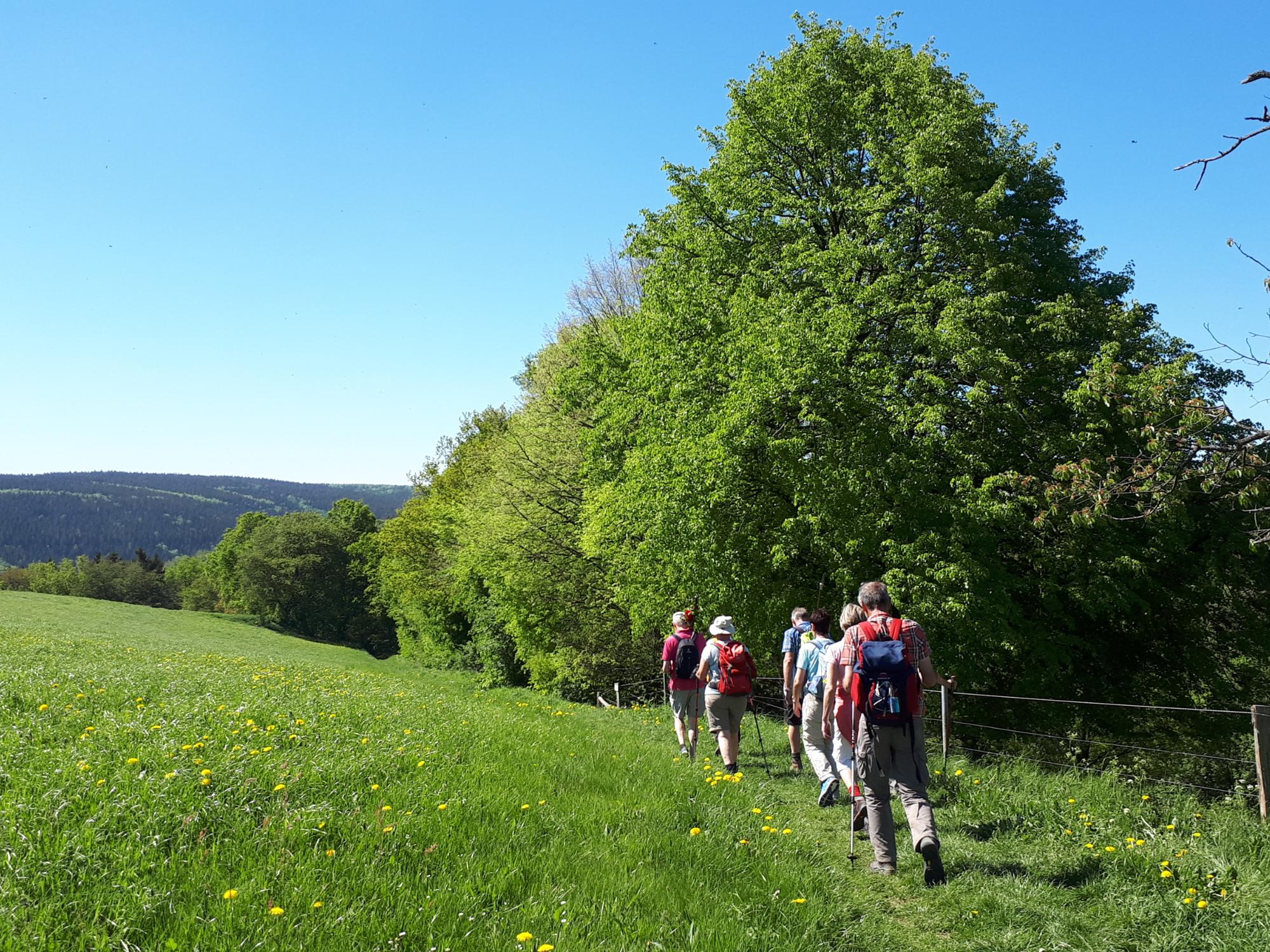 Pilgern nach Trier