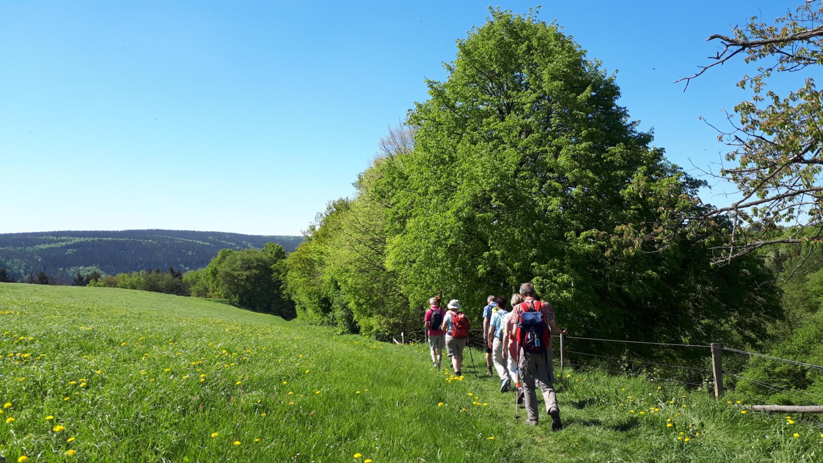 Pilgern nach Trier (c) St. Matthias-Bruderschaft Kempen