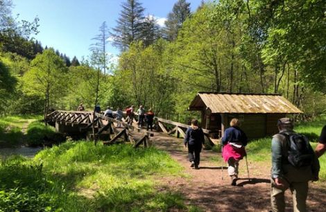 Matthiaswallfahrt (c) St. Matthias Bruderschaft St. Tönis