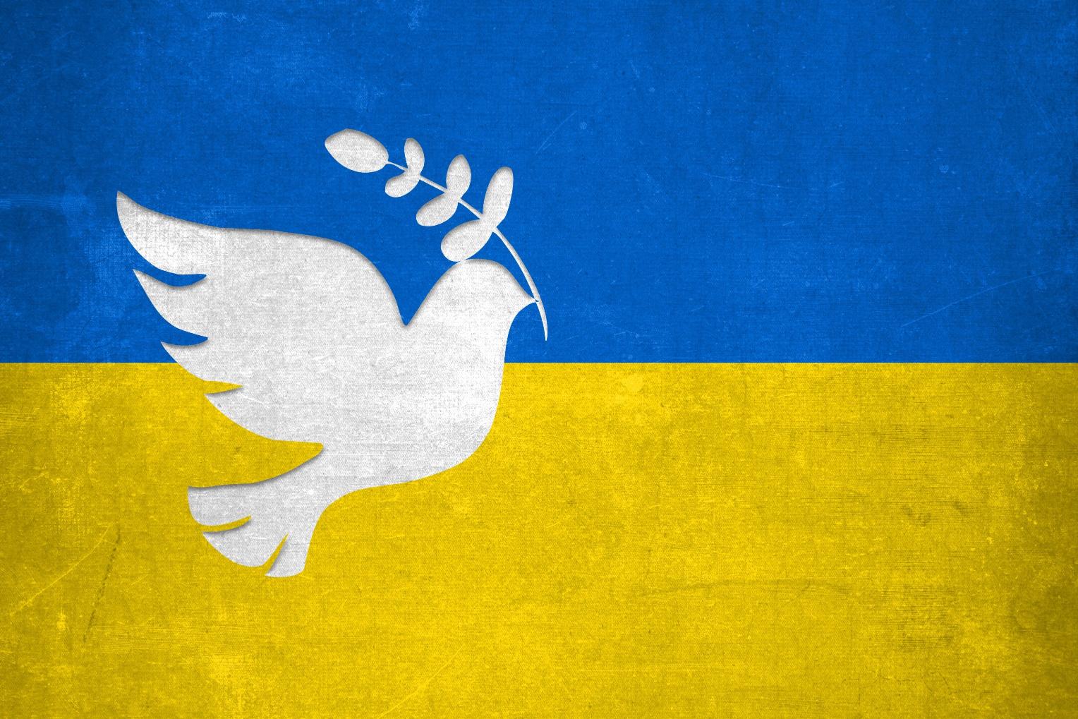 Ukraine-Hilfe (c) Pixabay